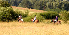 Hucul Horses Stable